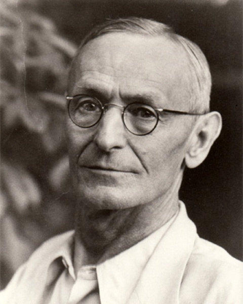 चित्र:Hermann hesse.jpg